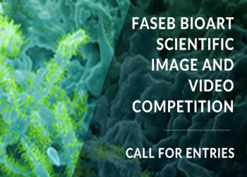 FASEB BioArt Award 2022
