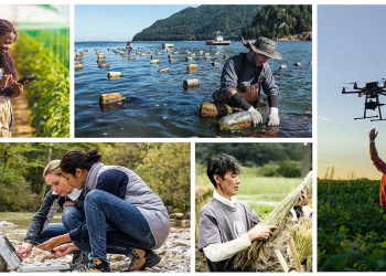 Google Org Impact Challenge On Climate Innovation