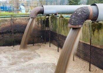 Innovative Process for High Organic Content Sludge Treatment