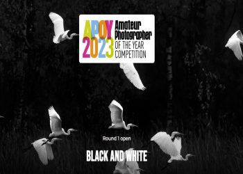 Amateur Photographer of the Year 2023