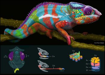 Illustraciència 2023