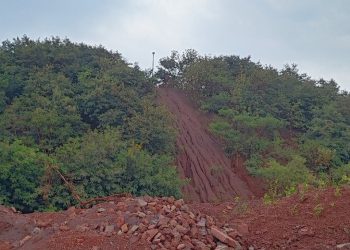Increased rate of vegetation growth in mine dumps to enhance greenery