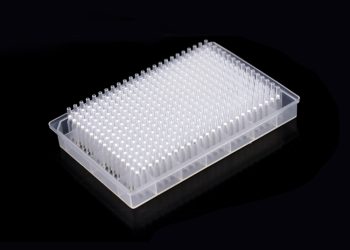 Novel Solutions for Fungal Nucleic Acid Extraction