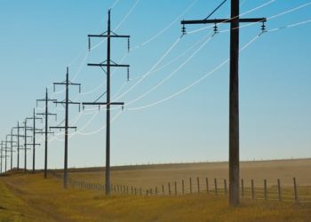 Easy to use systems to promptly diagnose the health condition of Utility Poles and Supports
