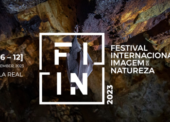 FIIN 2023 photography competition