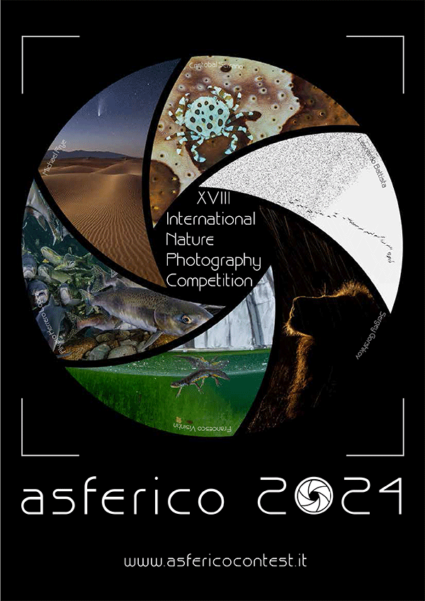 International Nature Photography Competition ASFERICO 2024