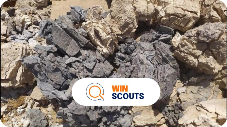 Improved Technology for Utilization of the Chloride & MgO Mixture