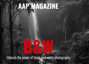 AAP Magazine B&W Competition