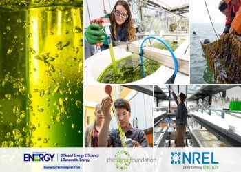 The U.S. Department of Energy AlgaePrize 2025–2027
