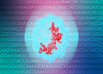 Stanford RNA 3D Folding Competition