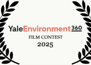 Yale Environment 360 Film Contest
