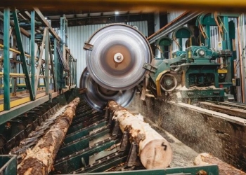 Novel Sawmill Solutions Improved Log Processing Challenge