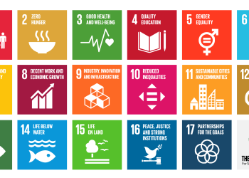 Master of Science in Public Policy and Human Development