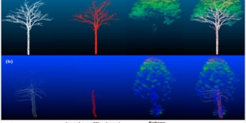 3D Surface Fuels & Vegetation Modeling Prize Challenge